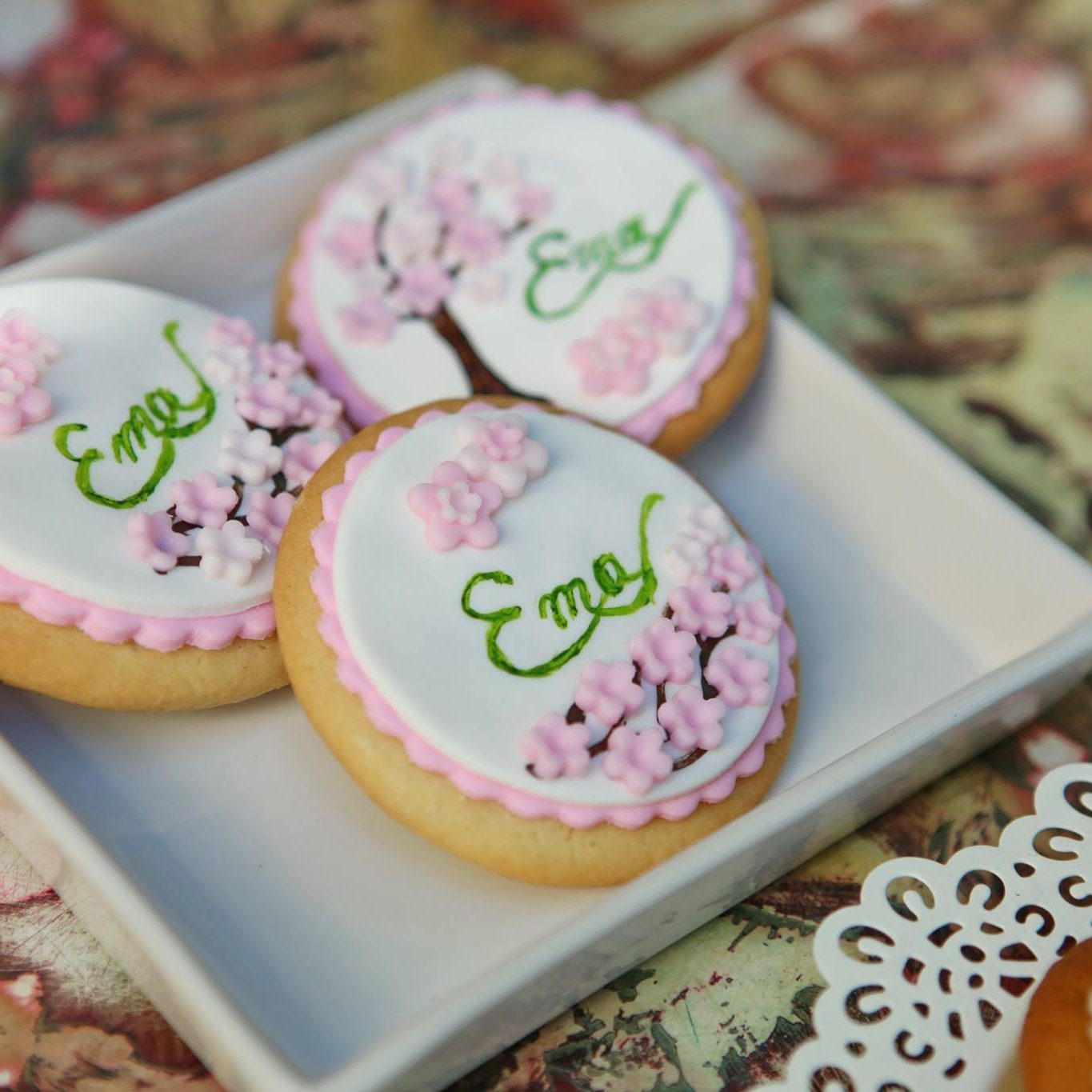 11856456_869663479781683_112880730180455859_o